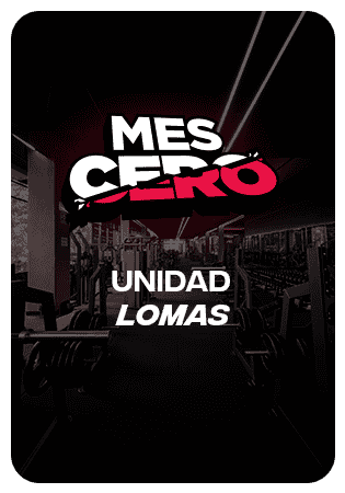 Plan PRO — Unidad Lomas