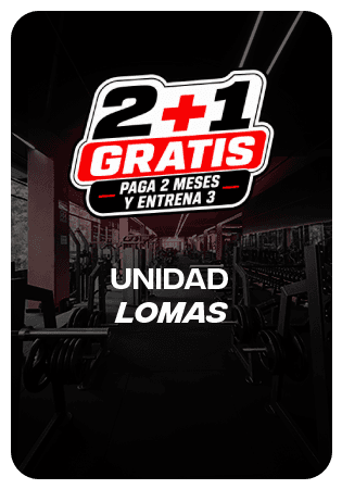 Plan PRO — Unidad Lomas