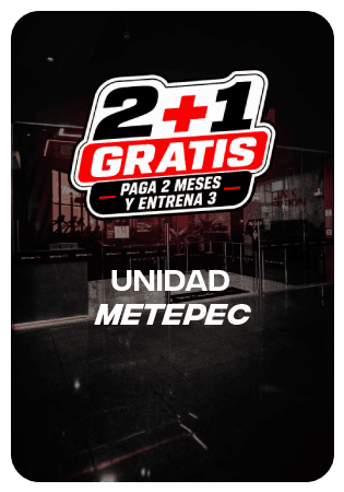 Plan PRO — Unidad Metepec